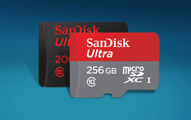 256gb sandisk microsd