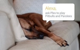 plex alexa