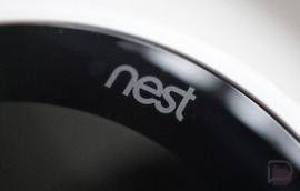 Nest