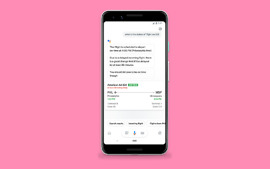 Google Assistant Flight Delay